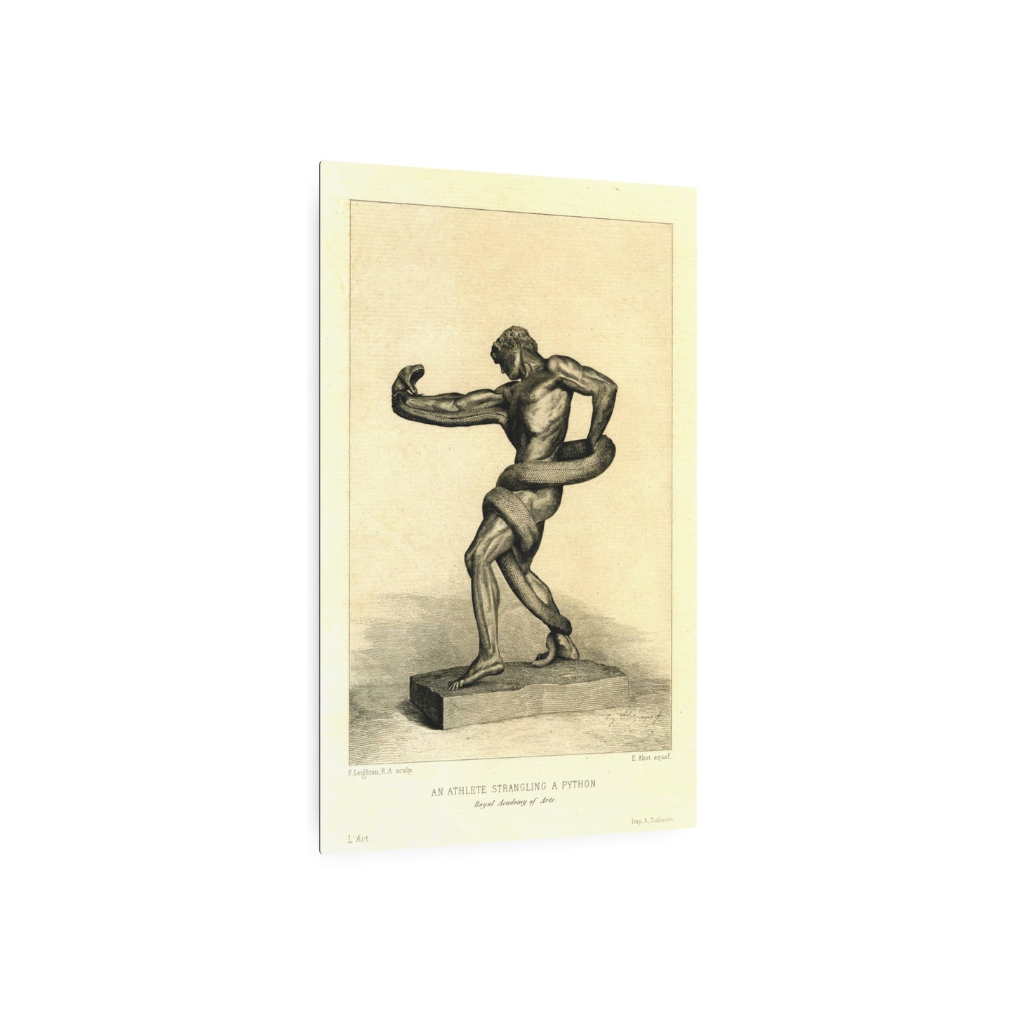 An Athlete Strangling a Python - Metal Print