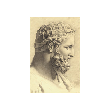 Bust of Hercules - Metal Print