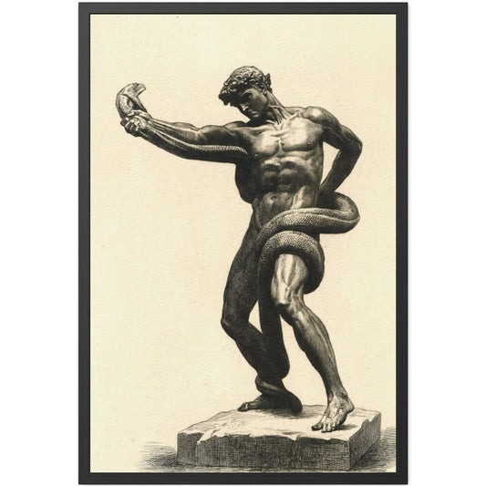 The Athlete Wrestling a Python - Framed Print