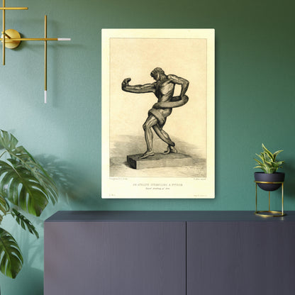 An Athlete Strangling a Python - Metal Print