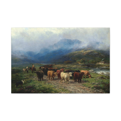 Highland Cattle - Canvas Wrap