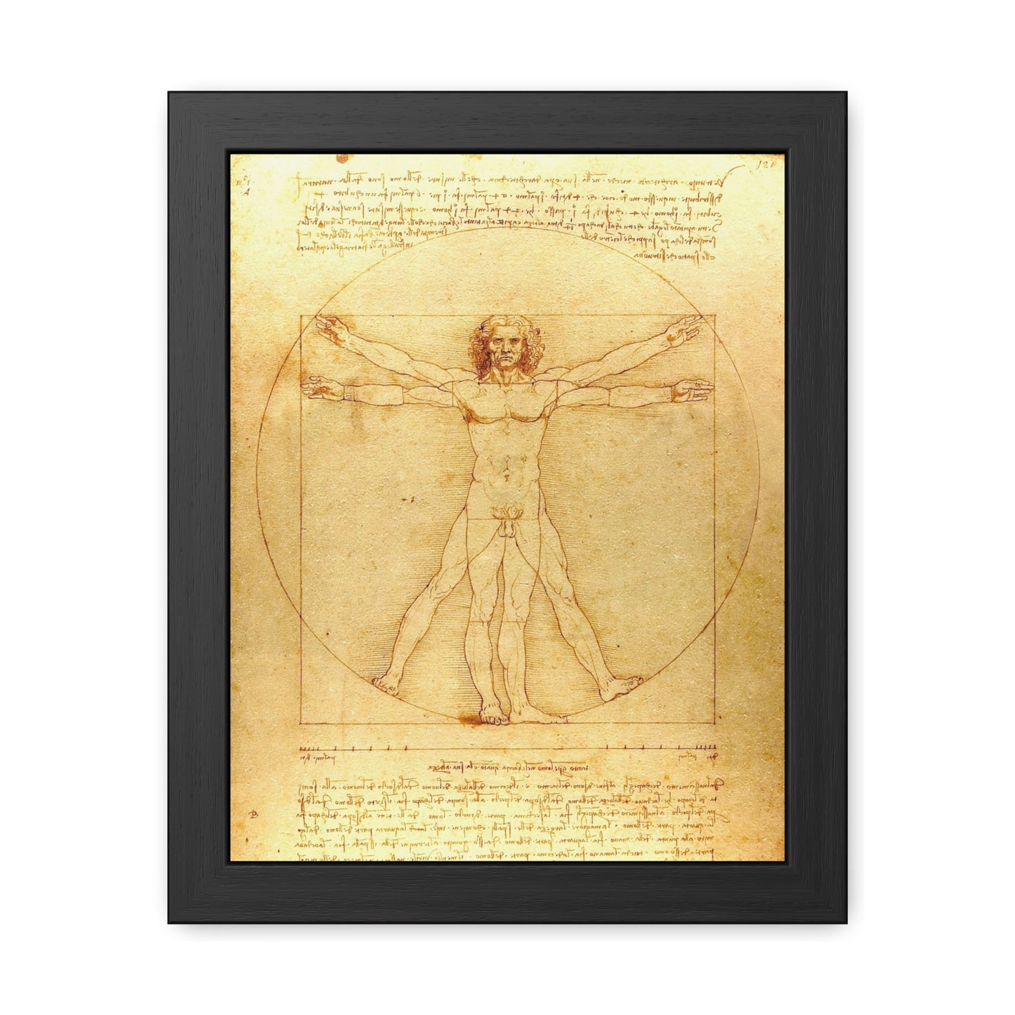 Vitruvian Man - Framed Print