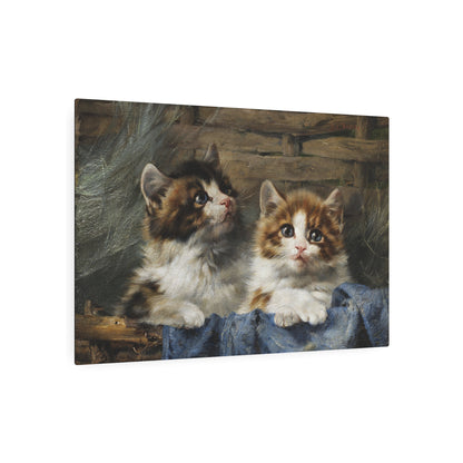 Two Kittens in a Basket - Metal Print