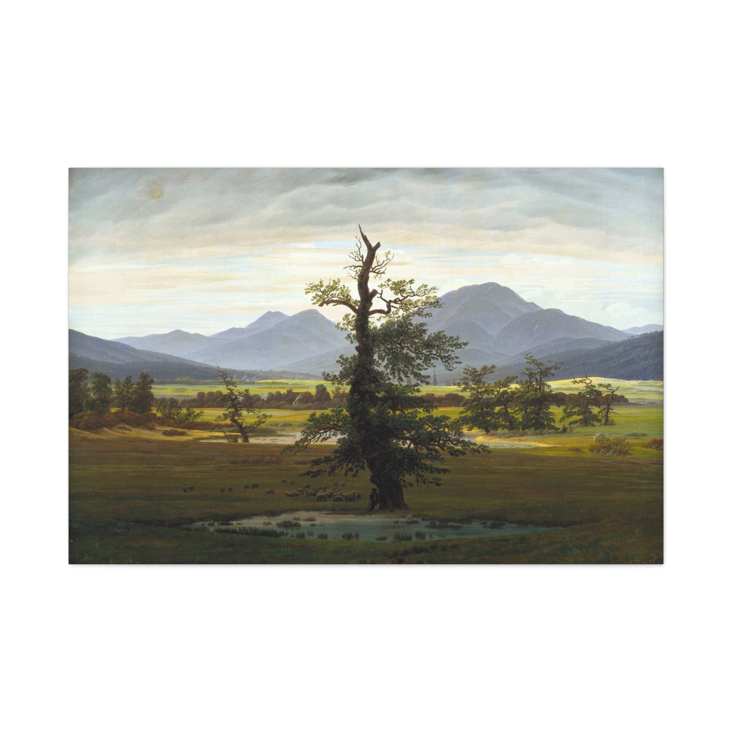 The Lone Tree - Canvas Wrap