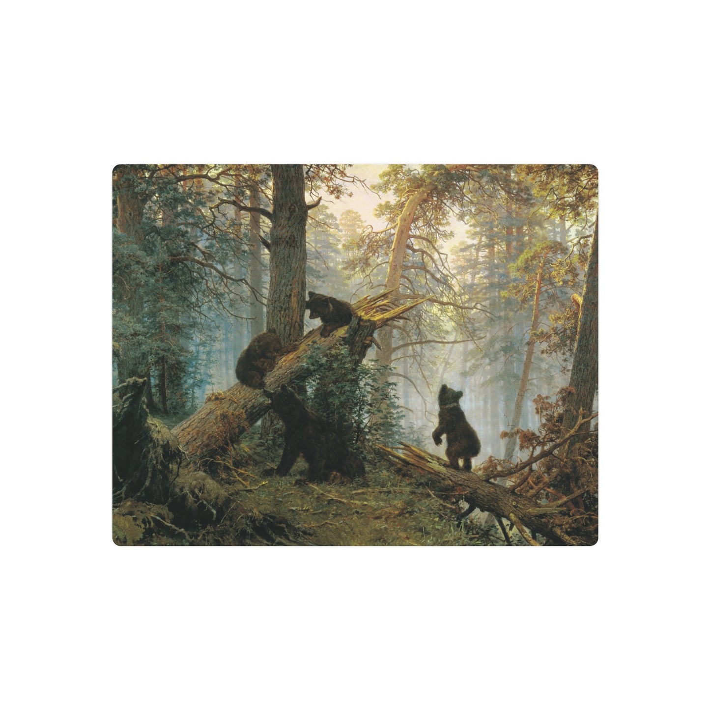 Morning in a Pine Forest - Metal Print