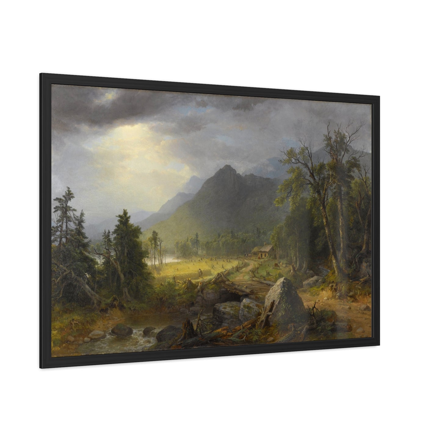 The First Harvest in the Wilderness -  Framed Print