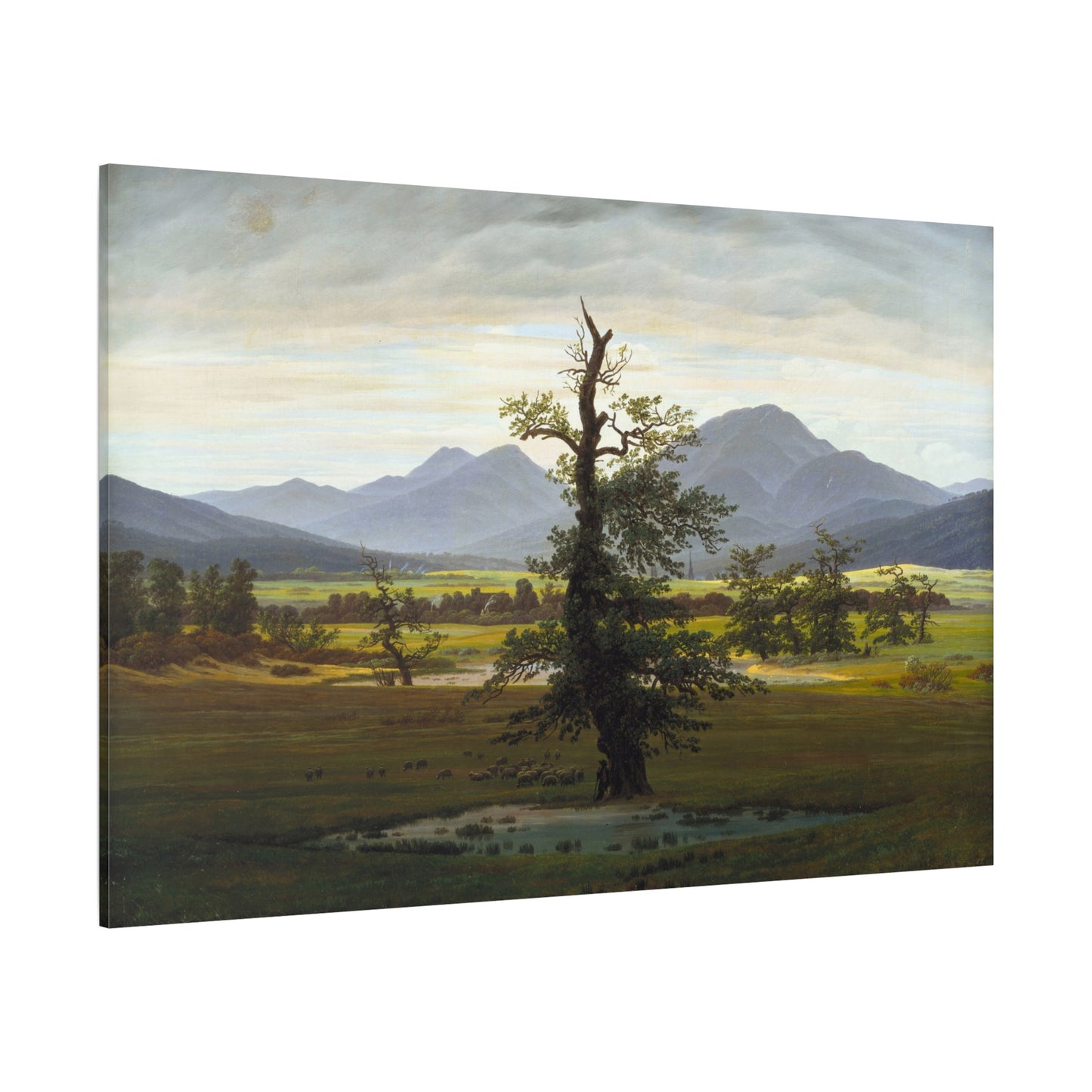 The Lone Tree - Canvas Wrap