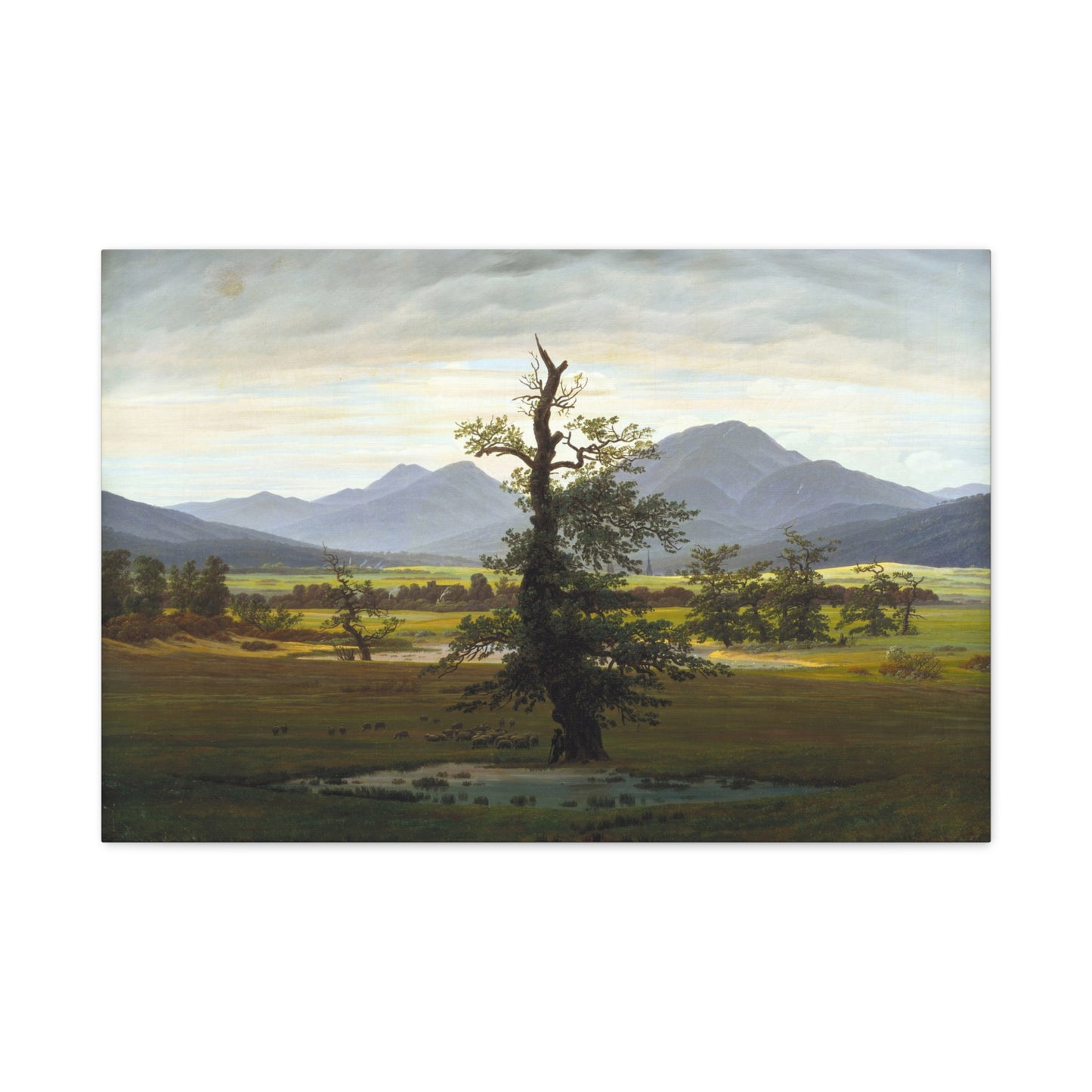 The Lone Tree - Canvas Wrap