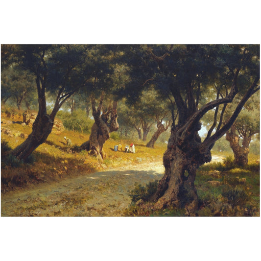 Poppies and Olive Trees - Canvas Wrap