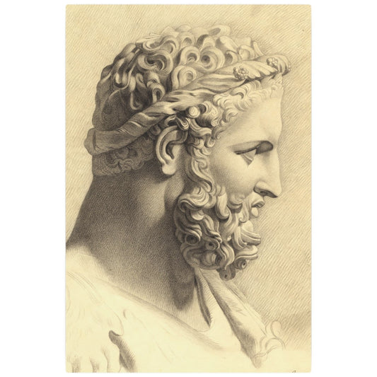 Bust of Hercules - Metal Print