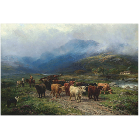 Highland Cattle - Canvas Wrap