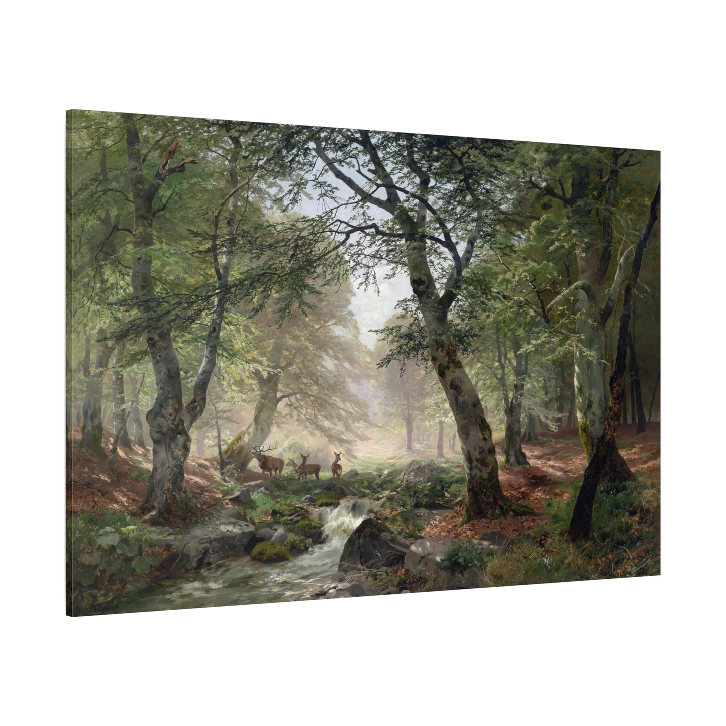 Woodland Landscape with Deer - Canvas Wrap