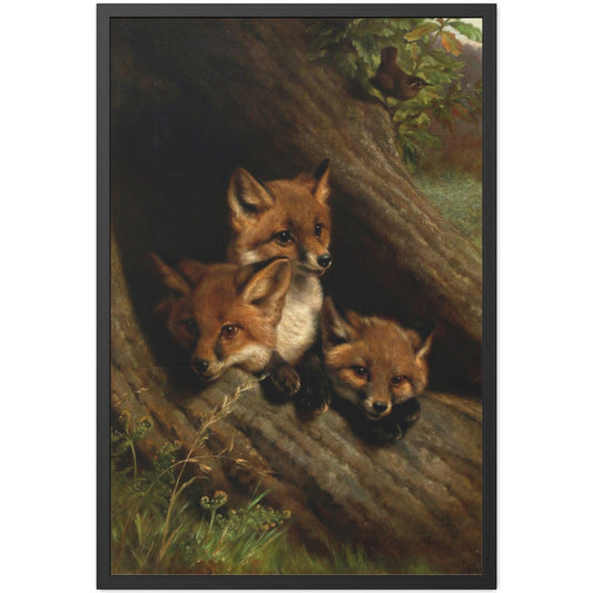 Young Foxes in a Hollow Tree - Framed Print