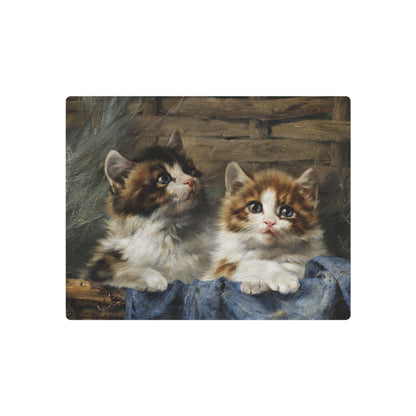 Two Kittens in a Basket - Metal Print