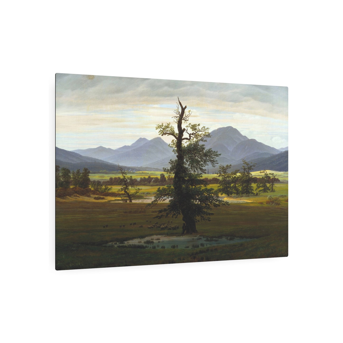 The Lone Tree - Metal Print