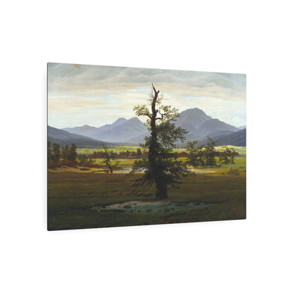 The Lone Tree - Metal Print