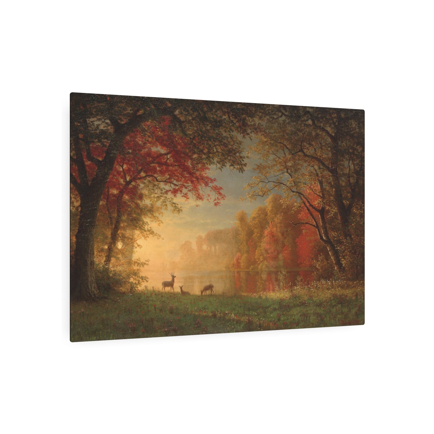 Deer by a Lake - Metal Print