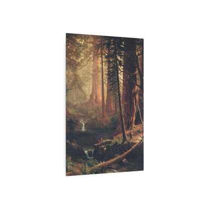 Giant Redwood Trees of California - Metal Print