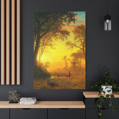 Light in the Forest - Canvas Wrap