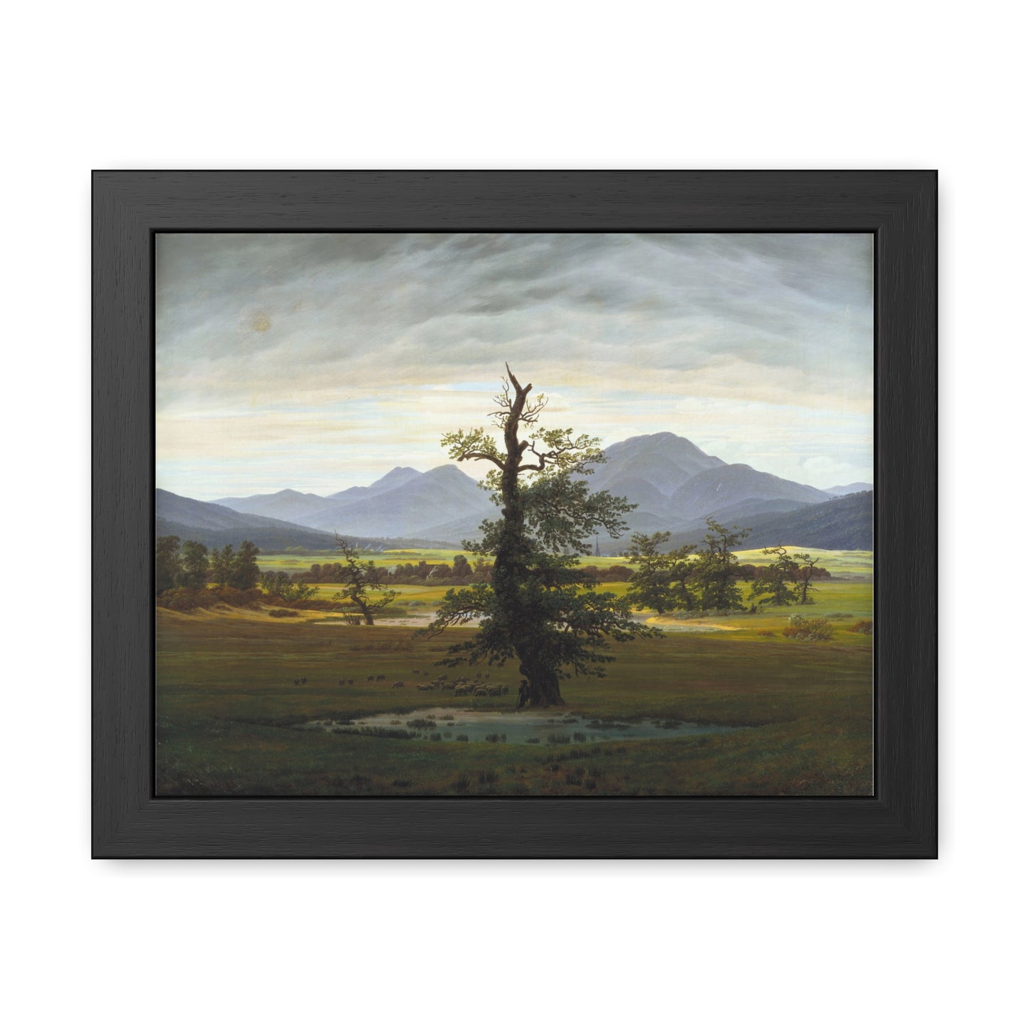 The Lone Tree - Framed Print