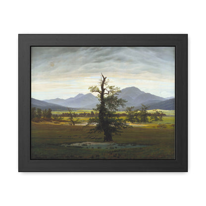 The Lone Tree - Framed Print