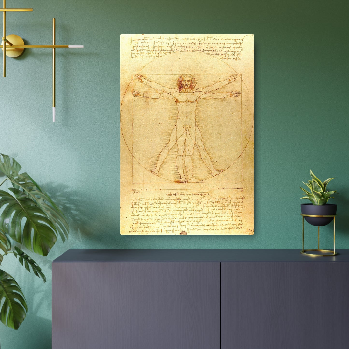 The Vitruvian Man - Metal Print