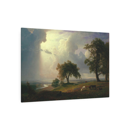 California Spring - Metal Print