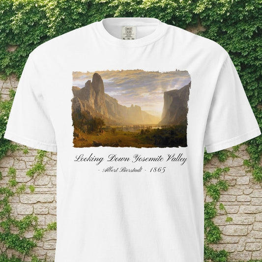 Looking Down Yosemite Valley - T-Shirt