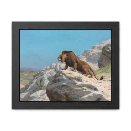 Lion on the Watch - Framed Print