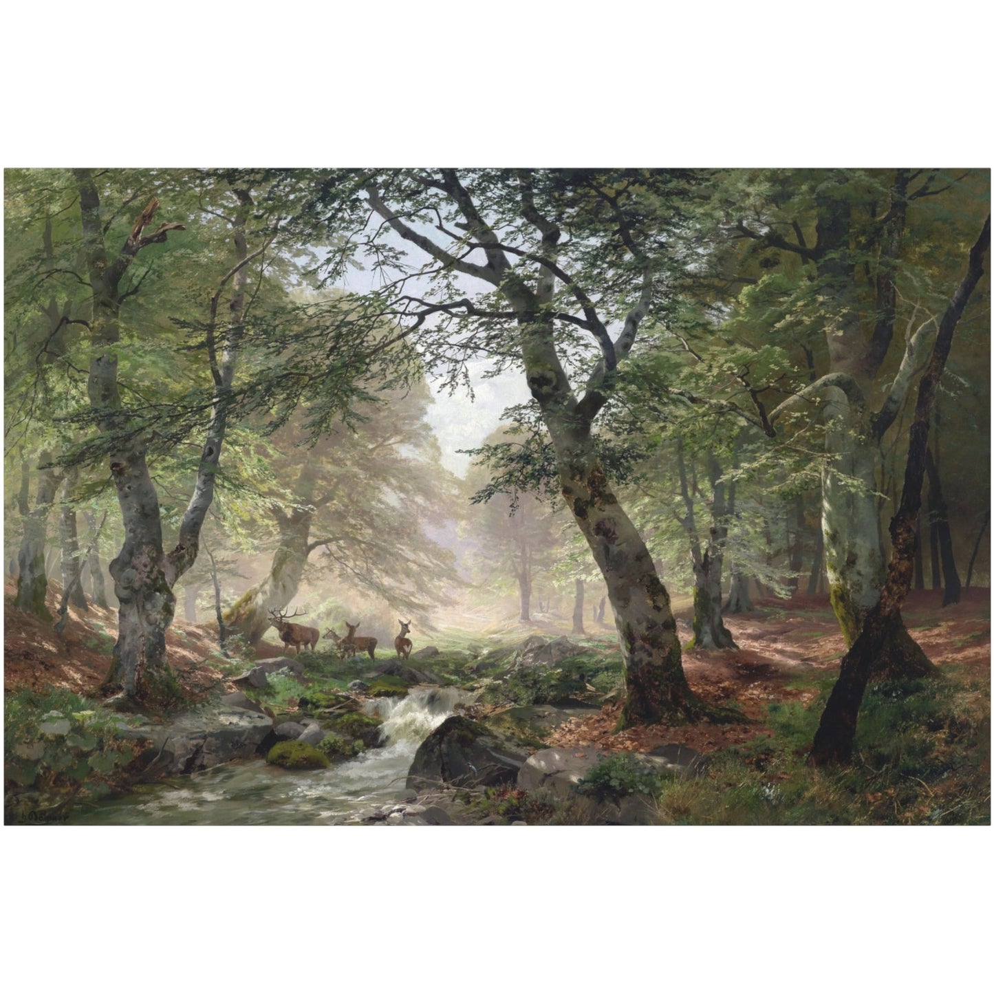 Woodland Landscape with Deer - Canvas Wrap