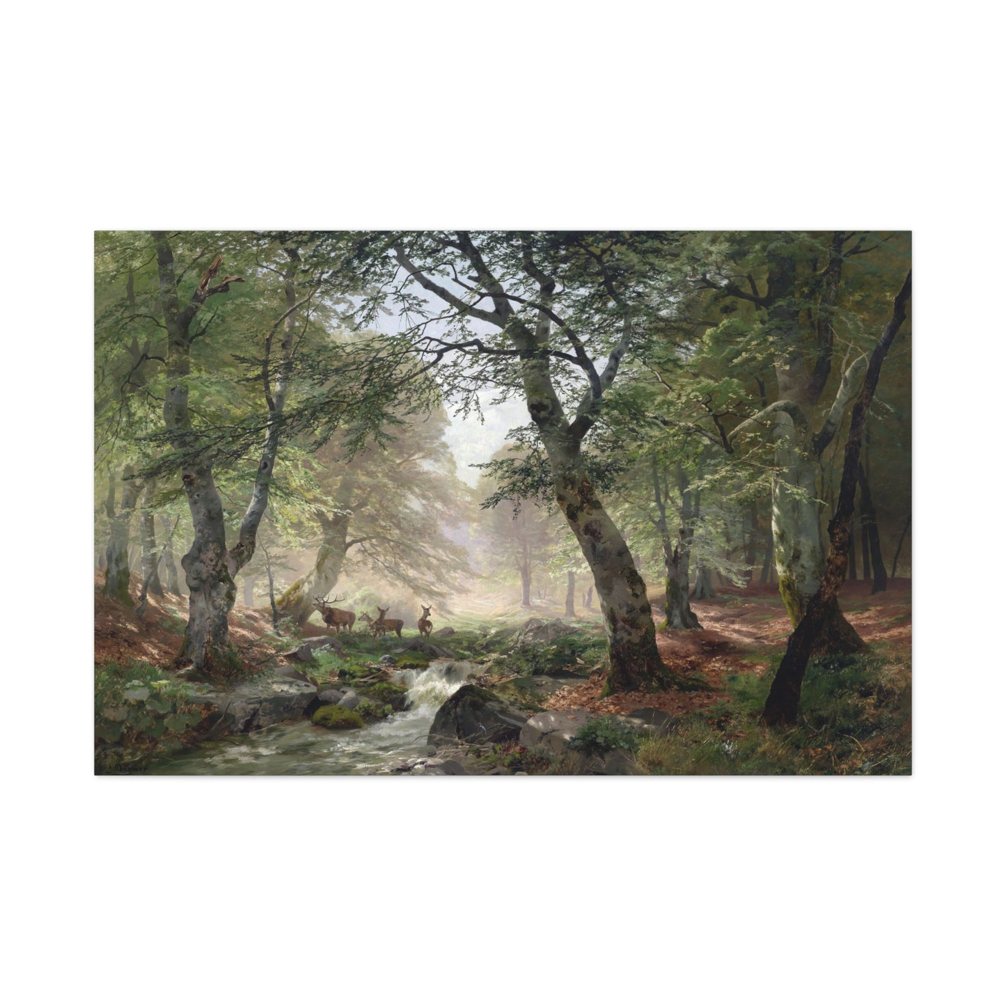 Woodland Landscape with Deer - Canvas Wrap