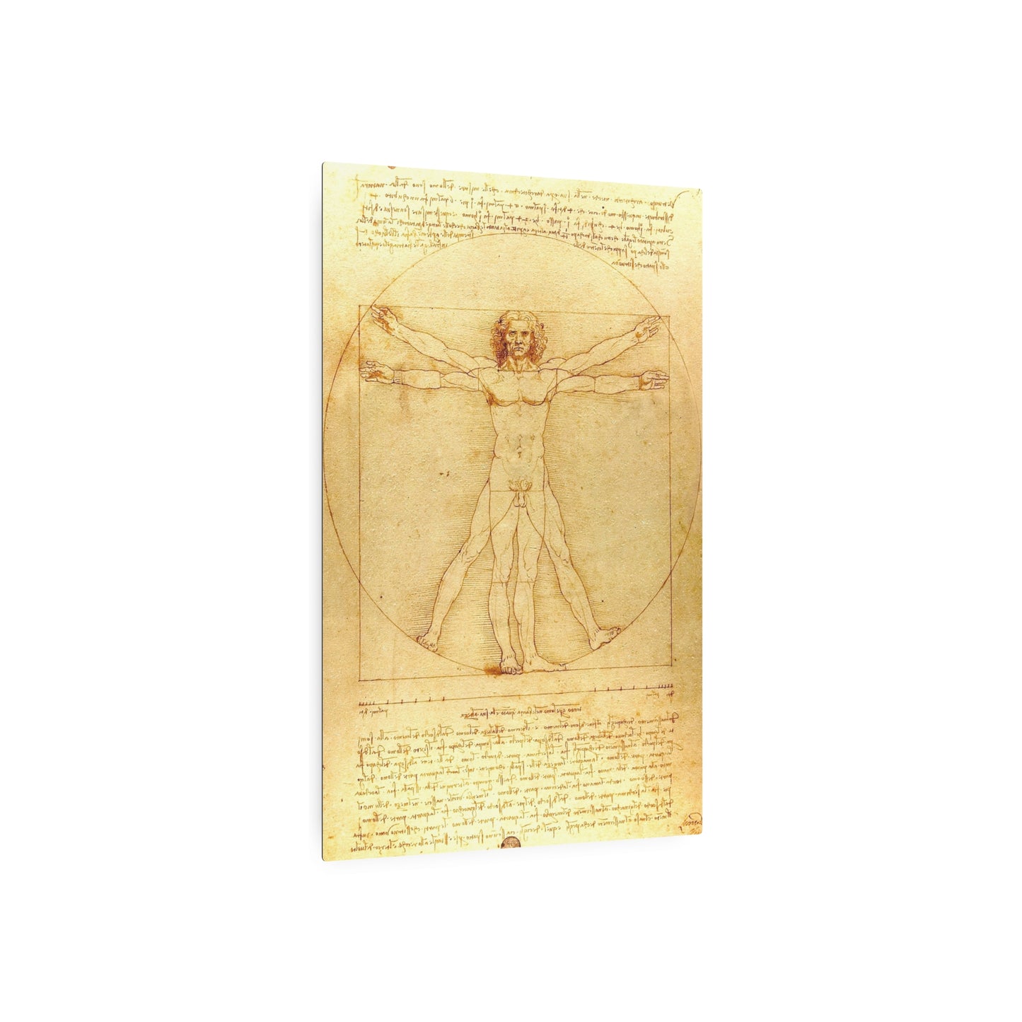 The Vitruvian Man - Metal Print