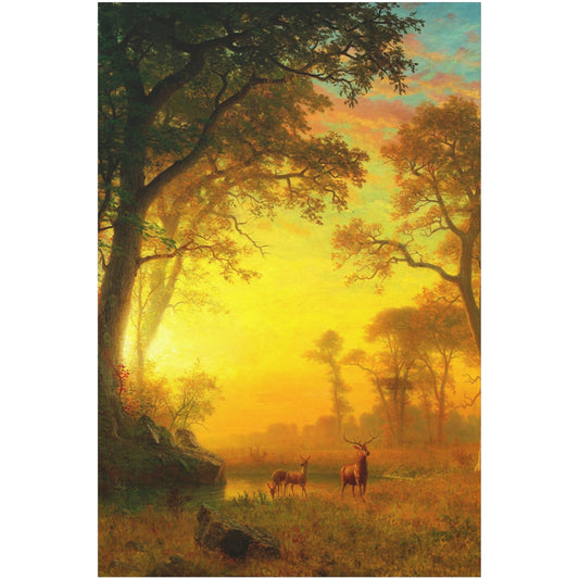 Light in the Forest - Canvas Wrap