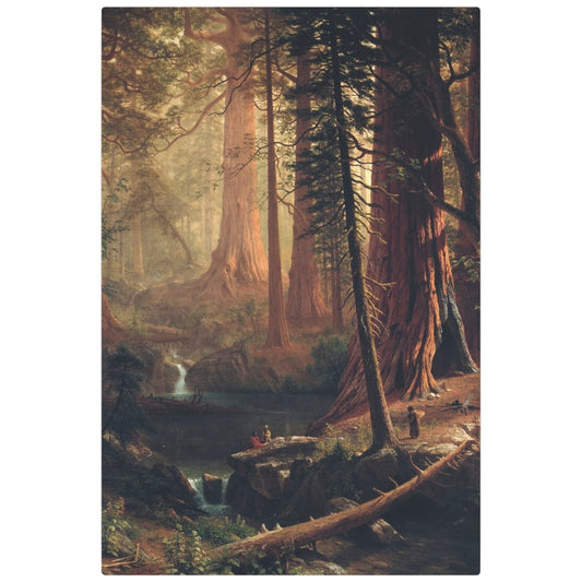 Giant Redwood Trees of California - Metal Print