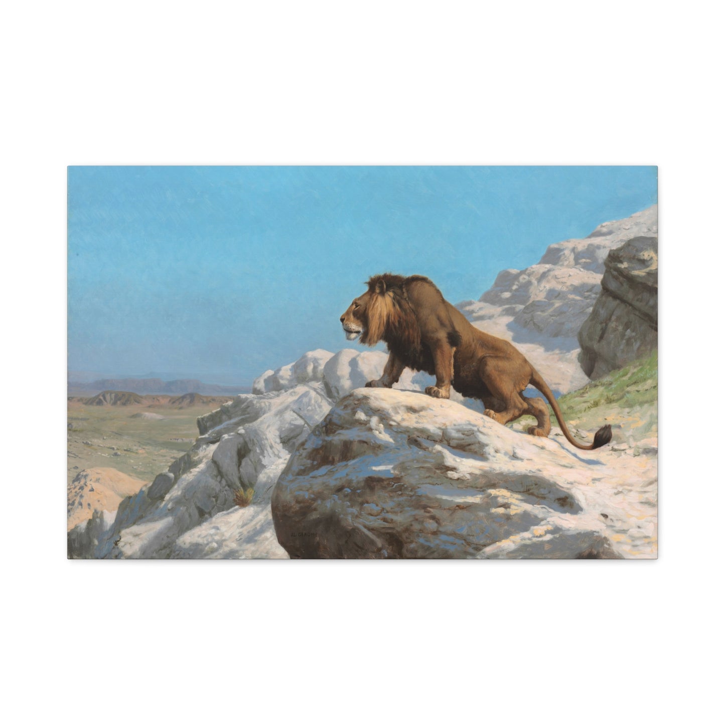 Lion on the Watch - Canvas Wrap