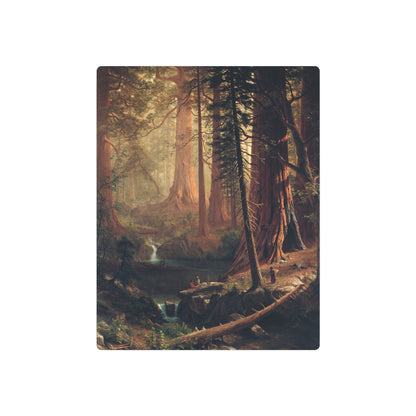 Giant Redwood Trees of California - Metal Print