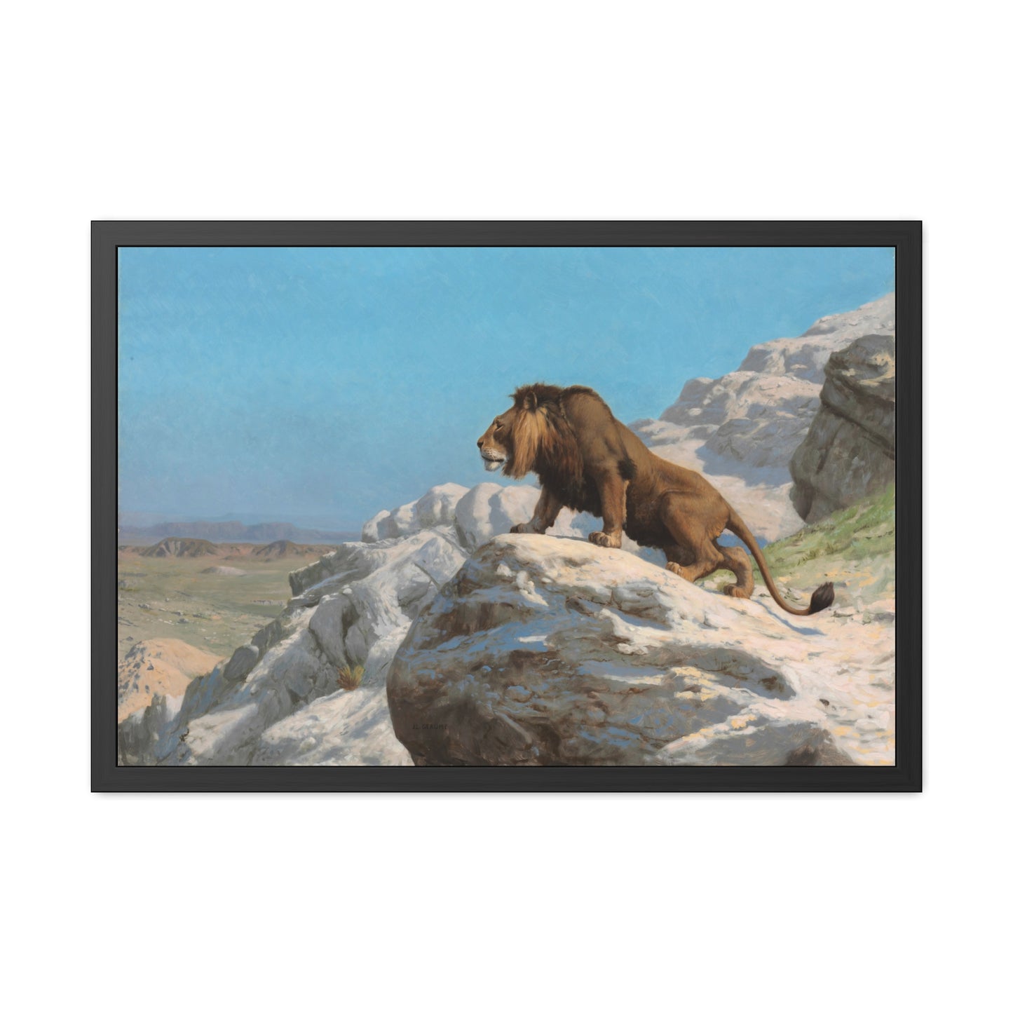 Lion on the Watch - Framed Print