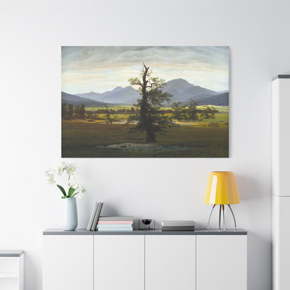 The Lone Tree - Canvas Wrap