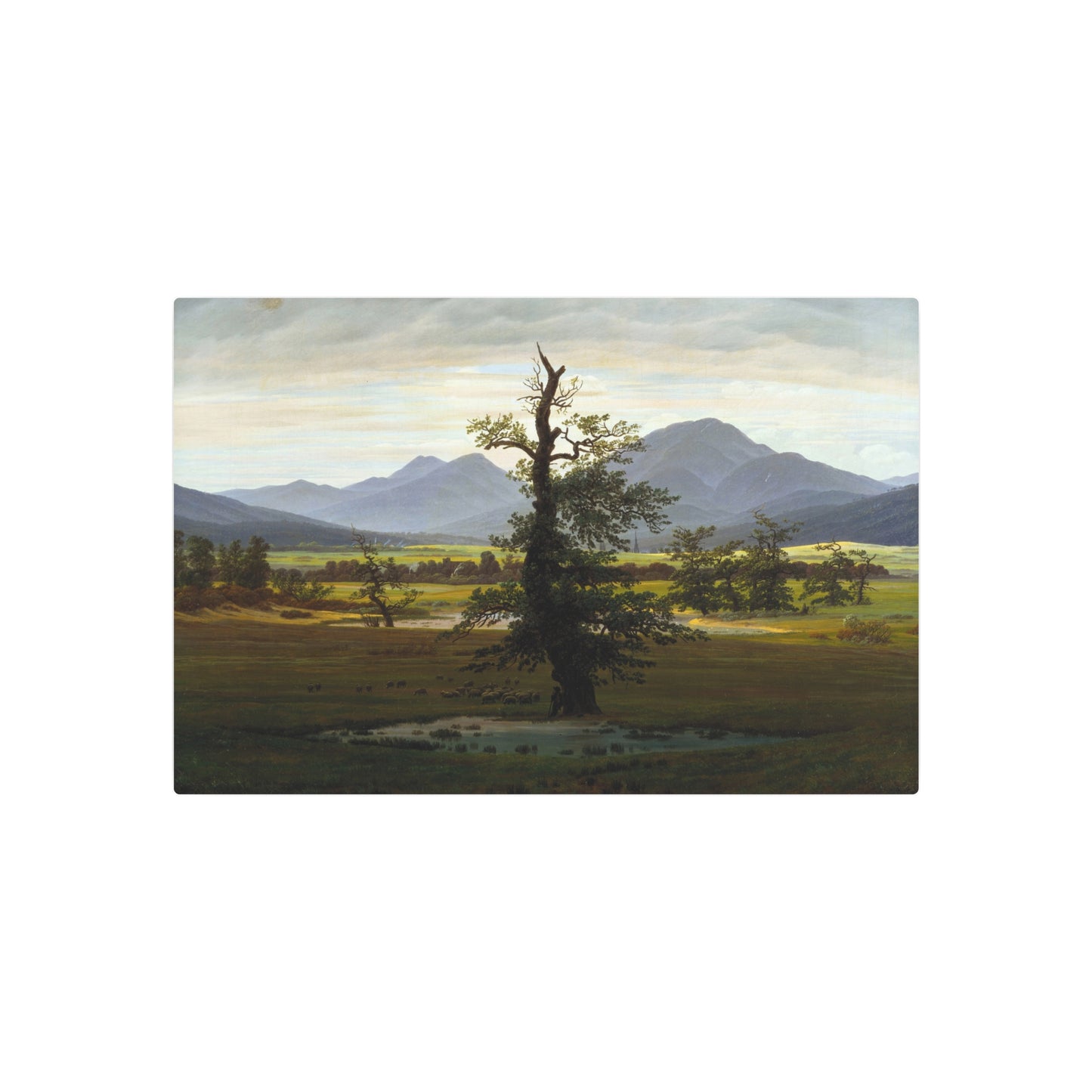 The Lone Tree - Metal Print