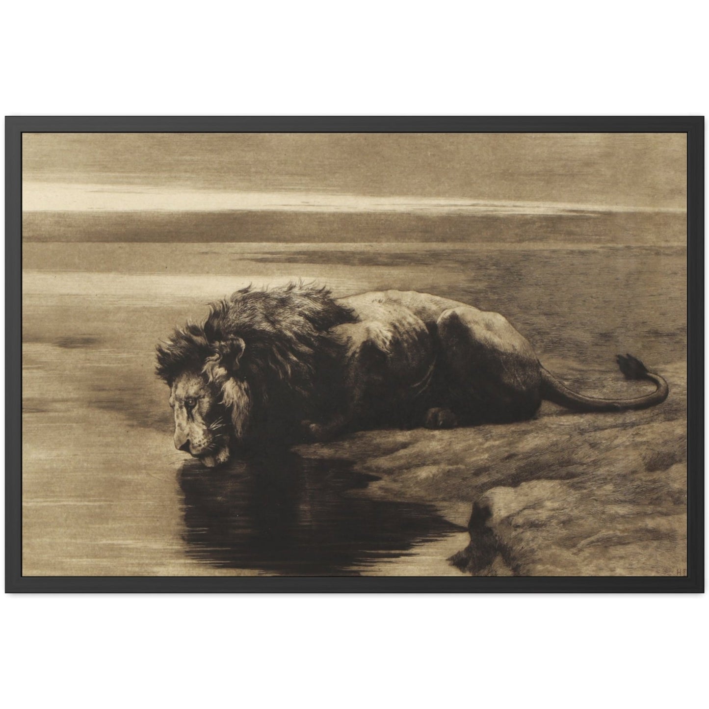 Solitude - Framed Print