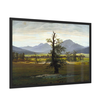 The Lone Tree - Framed Print