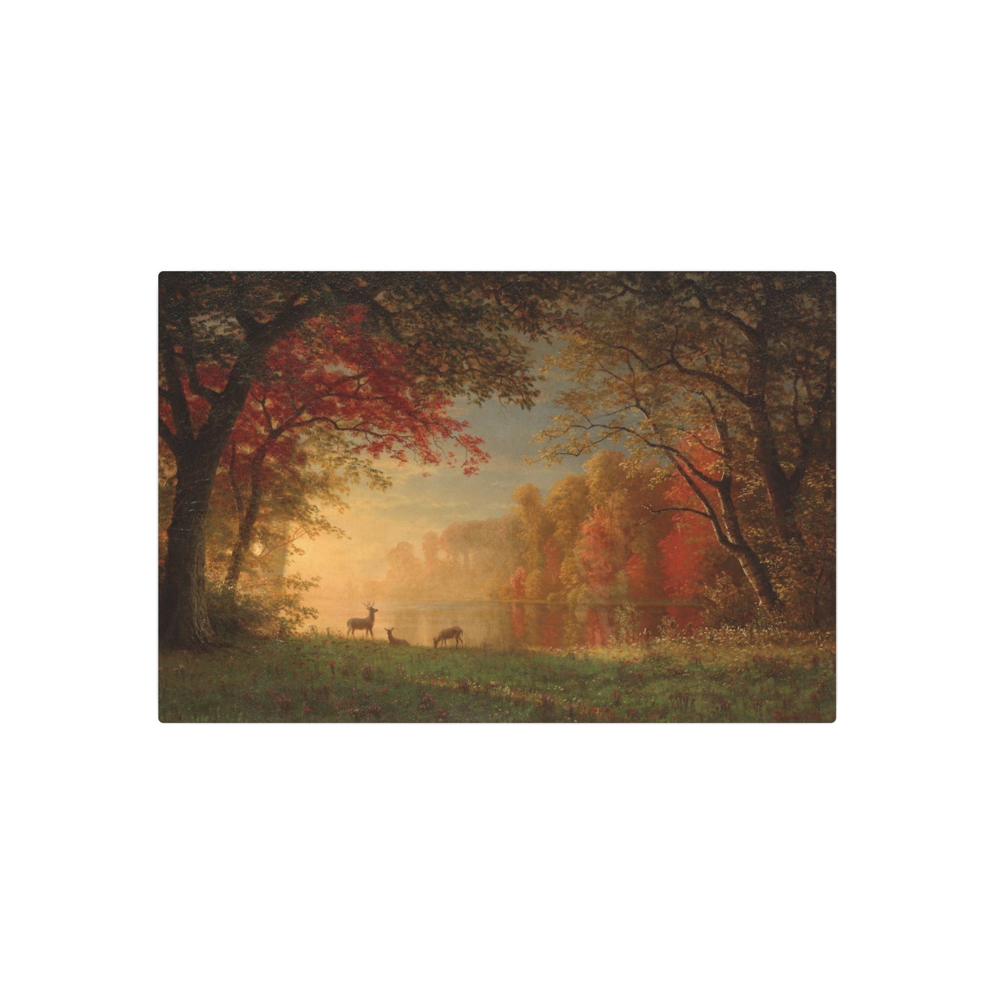 Deer by a Lake - Metal Print