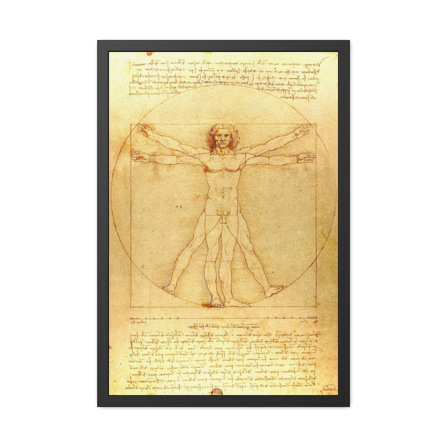 Vitruvian Man - Framed Print