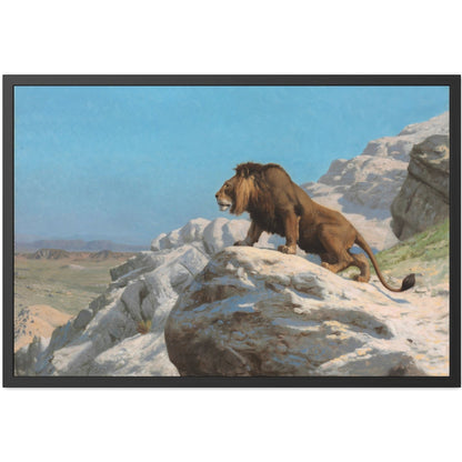 Lion on the Watch - Framed Print