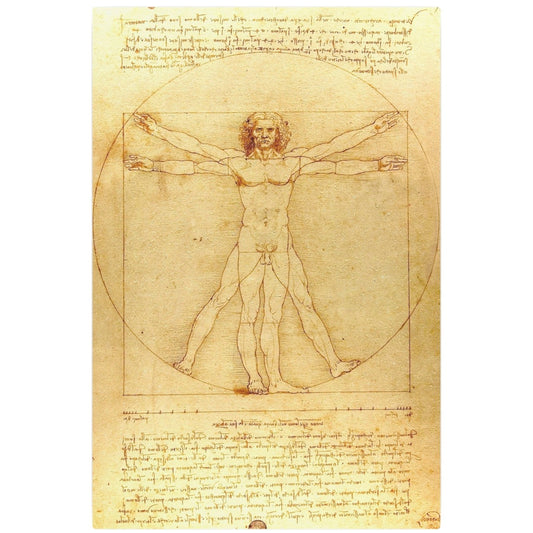 The Vitruvian Man - Metal Print