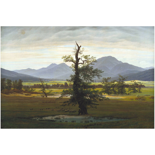 The Lone Tree - Canvas Wrap