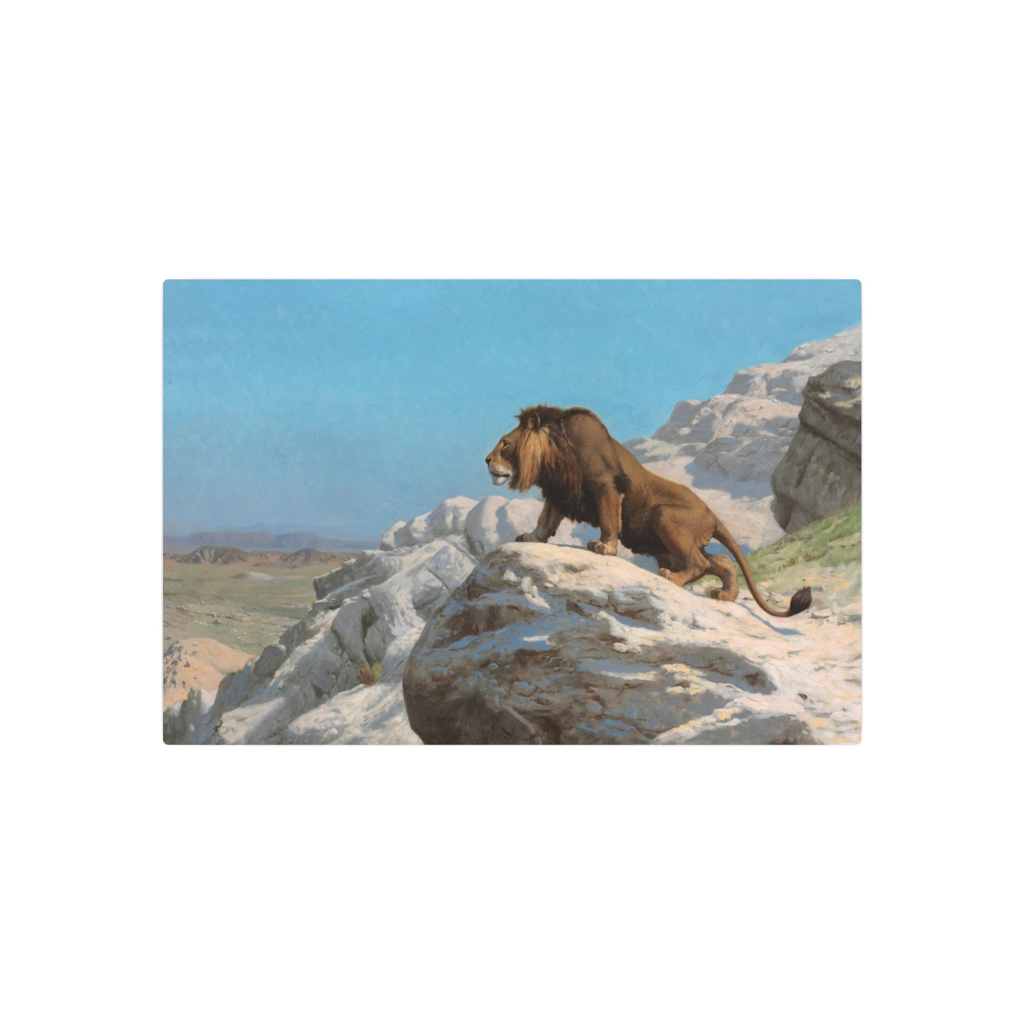 Lion on the Watch - Metal Print