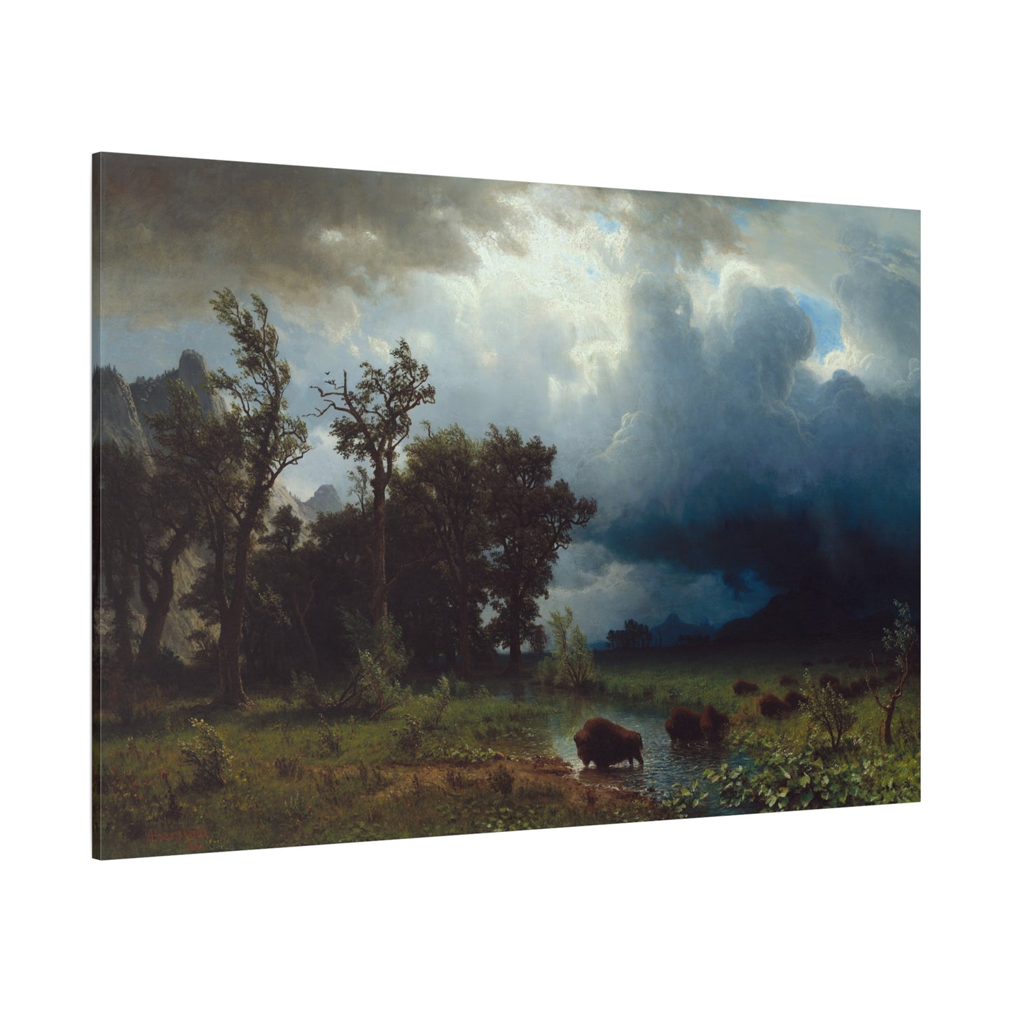 Buffalo Trail, The Impending Storm - Canvas Wrap