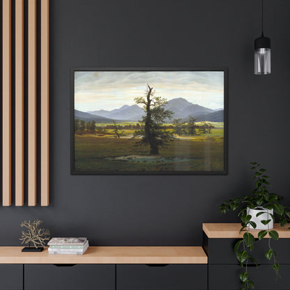 The Lone Tree - Framed Print