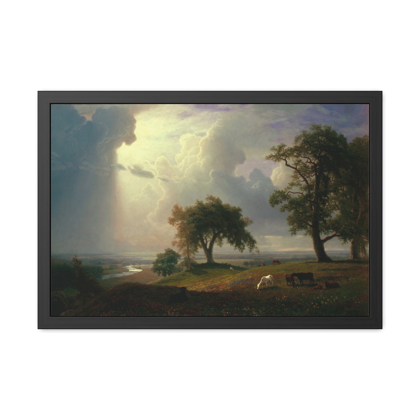 California Spring - Framed Print